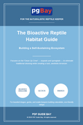 Cover of The Bioactive Reptile Habitat Guide, a PDF guide to building a self-sustaining vivarium