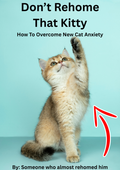 Cover of How To Overcome New Cat Anxiety, a PDF guide to easing a new cat's anxiety