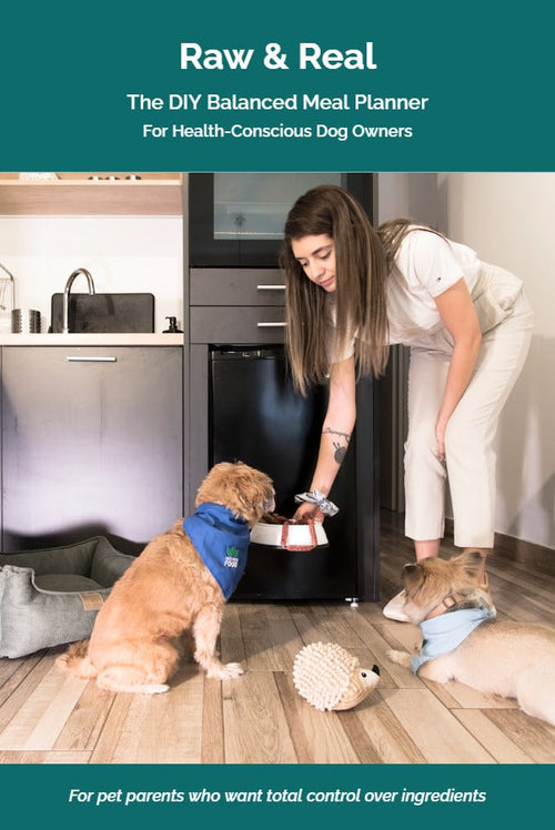 Raw & Real: The DIY Balanced Meal Planner for Health-Conscious Dog Owners eBook cover — woman feeding her dogs at home